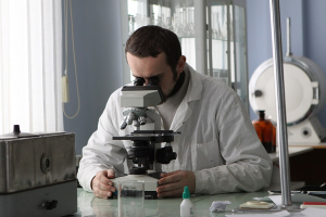 dianachemutai.gnomio.com